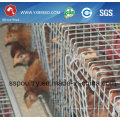 Poultry Equipment Chicken Cage